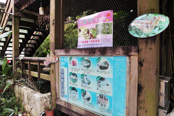 桂竹林餐廳紫斑蝶生態復育