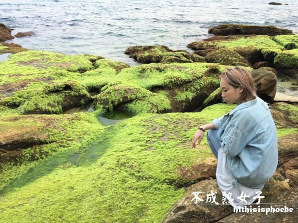 神秘海岸海藻岩石